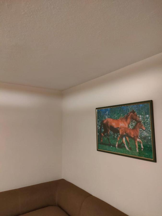 Apartament 6 Osobowy Шклярска Поремба Екстериор снимка